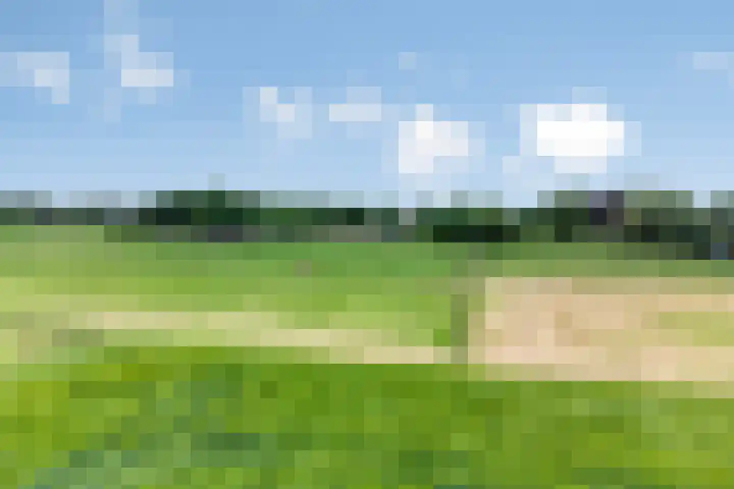 Balloo 13 Balloo thumbnail 101