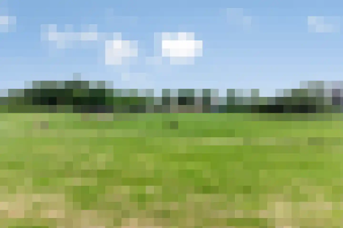 Balloo 13 Balloo thumbnail 103