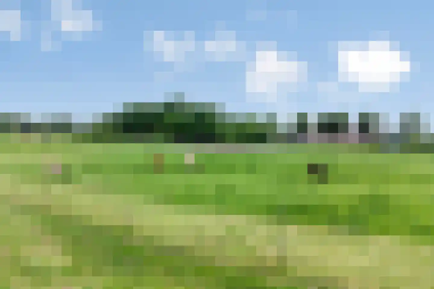 Balloo 13 Balloo thumbnail 104