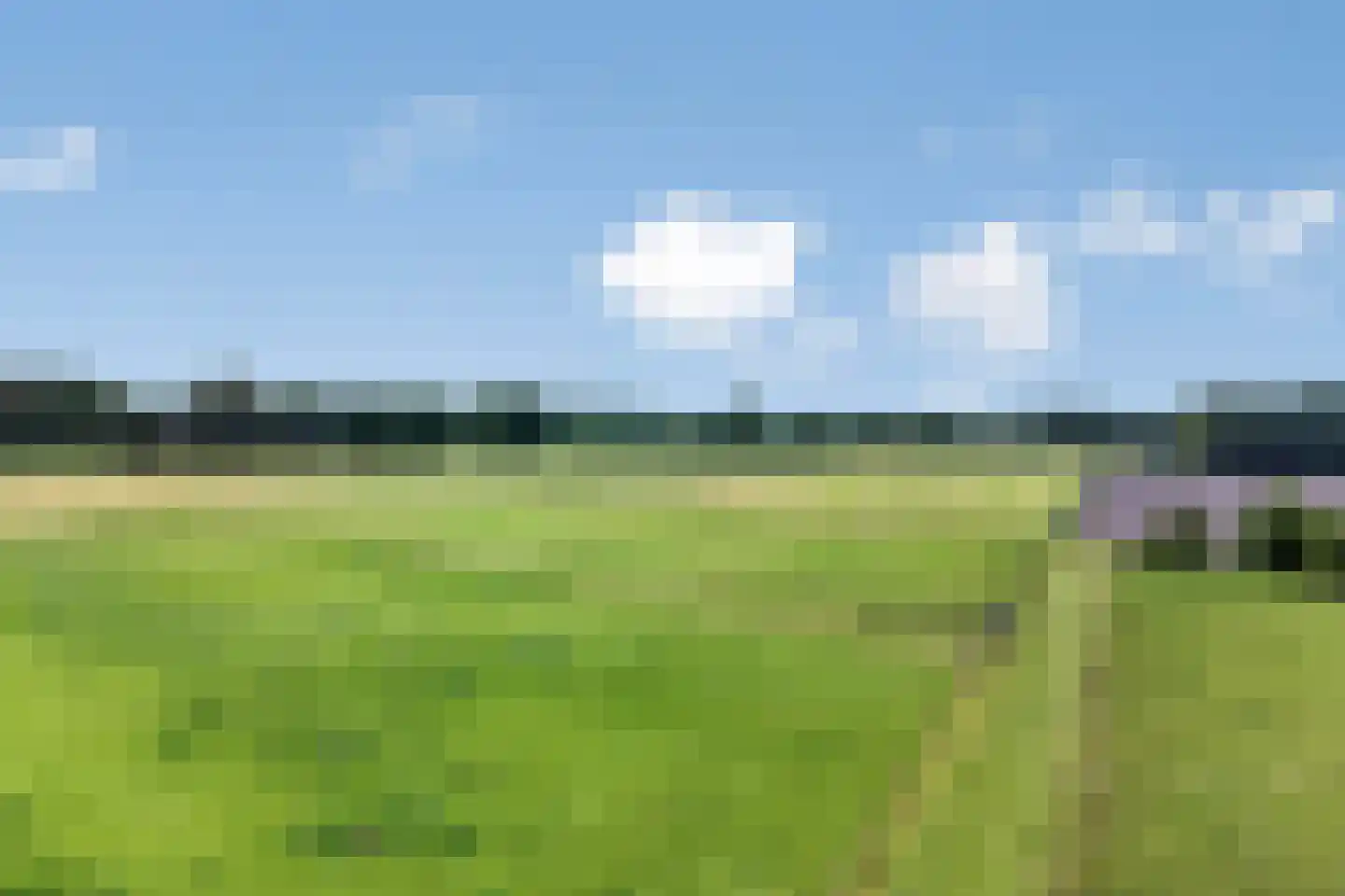 Balloo 13 Balloo thumbnail 105