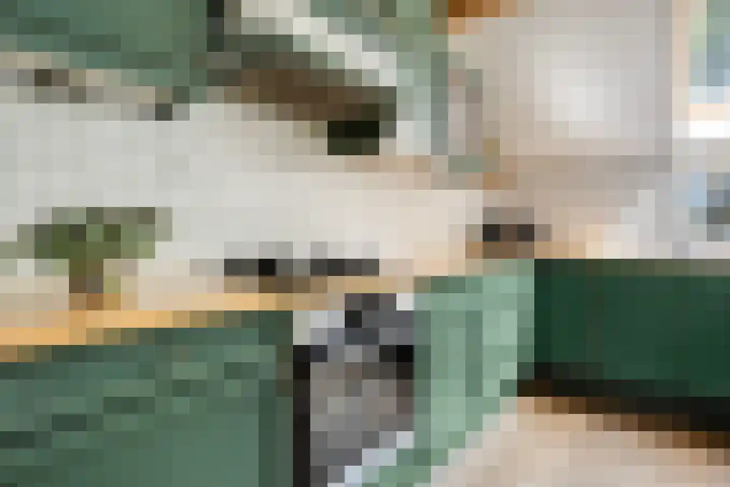 Balloo 13 Balloo thumbnail 23