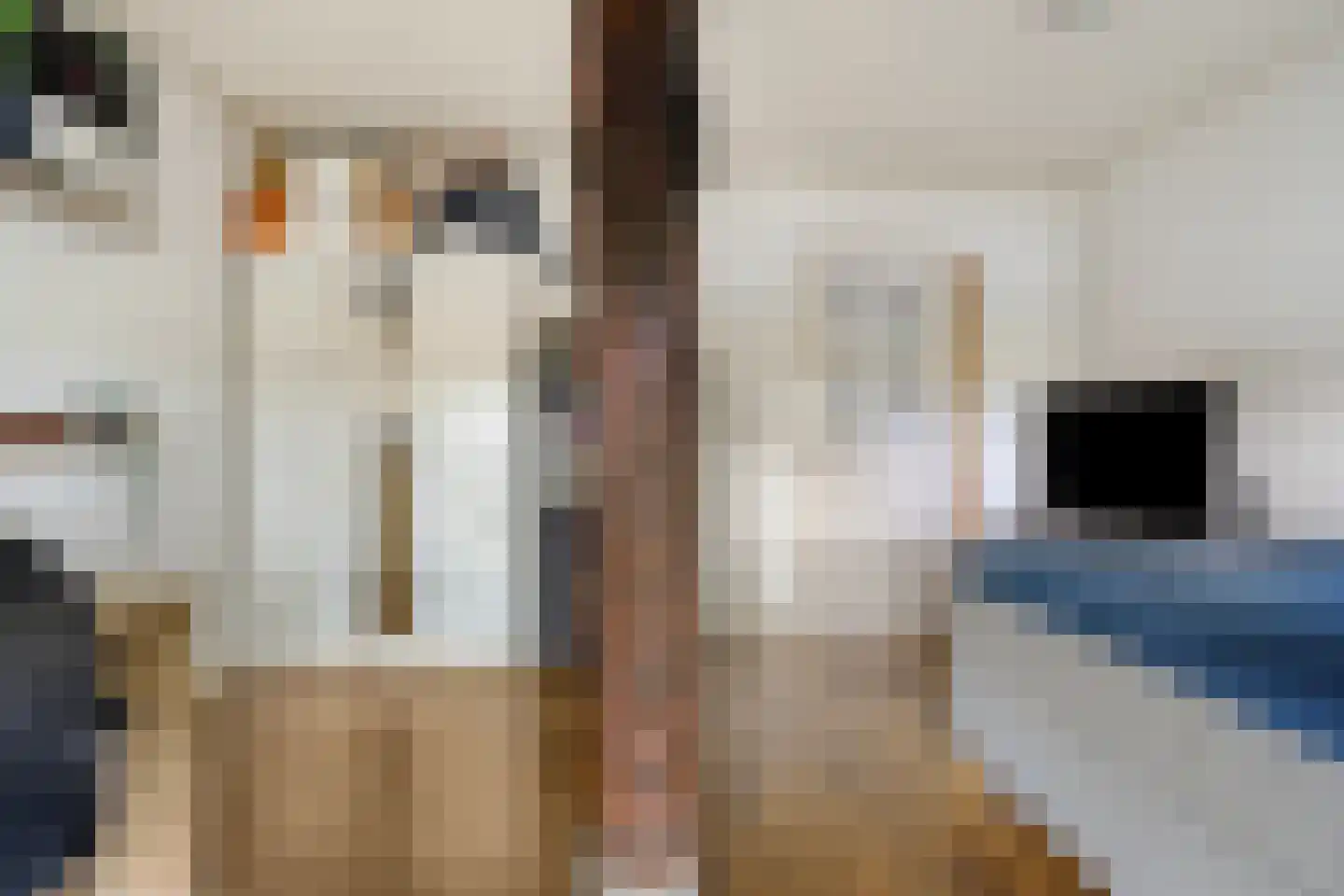 Balloo 13 Balloo thumbnail 37