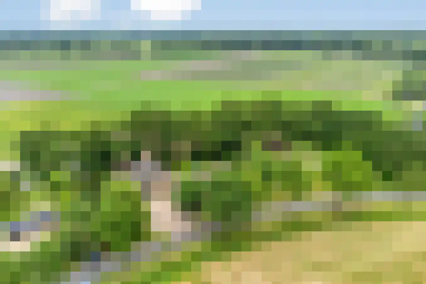 Balloo 13 Balloo thumbnail 4