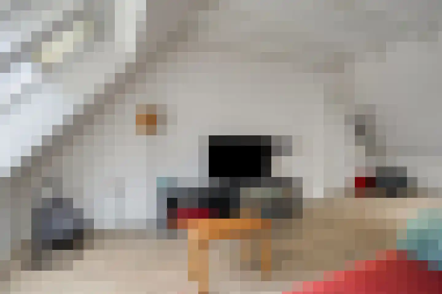 Balloo 13 Balloo thumbnail 48