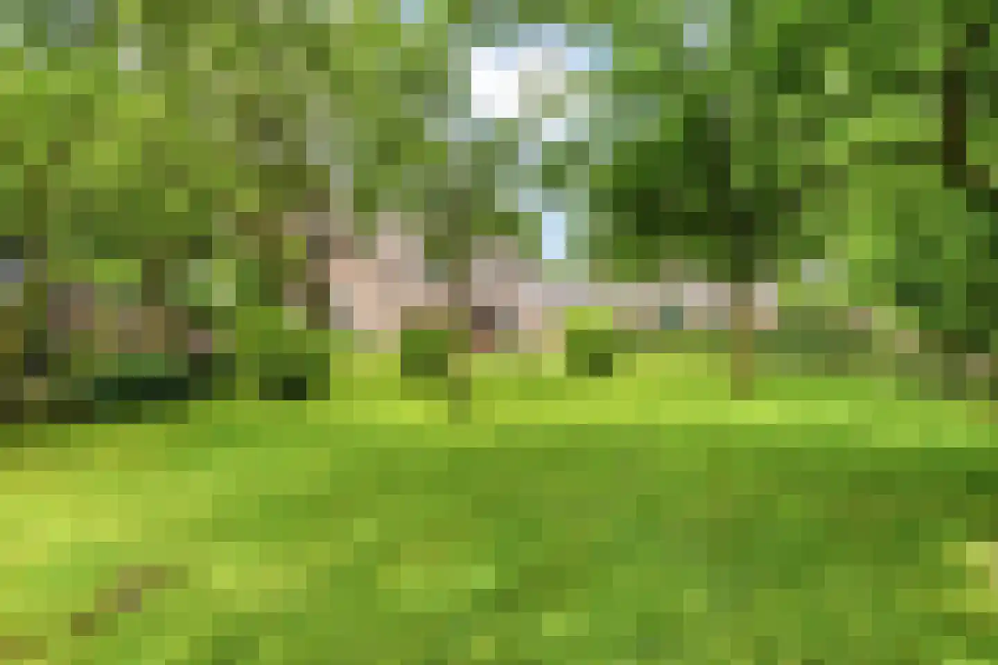 Balloo 13 Balloo thumbnail 5