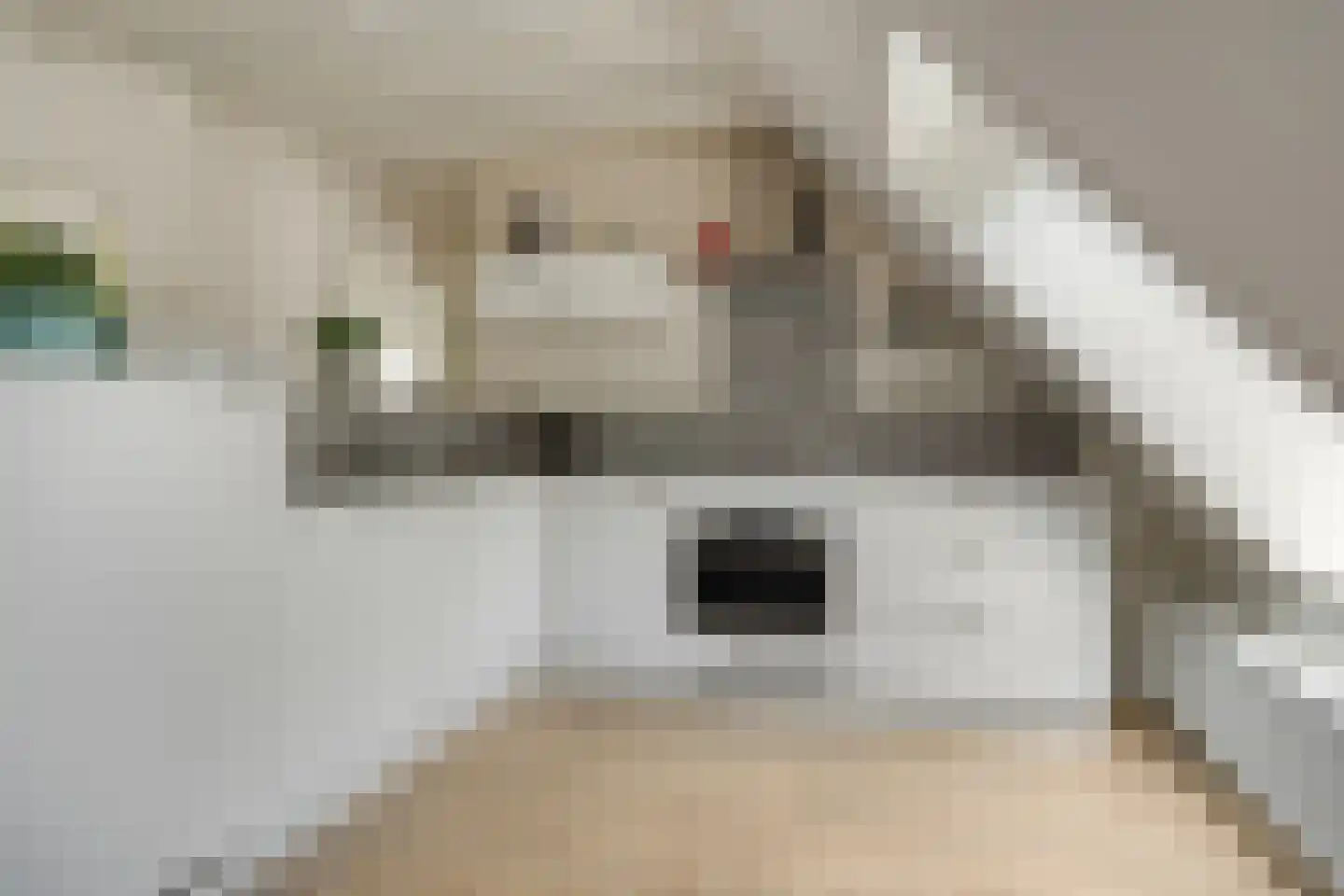 Balloo 13 Balloo thumbnail 50