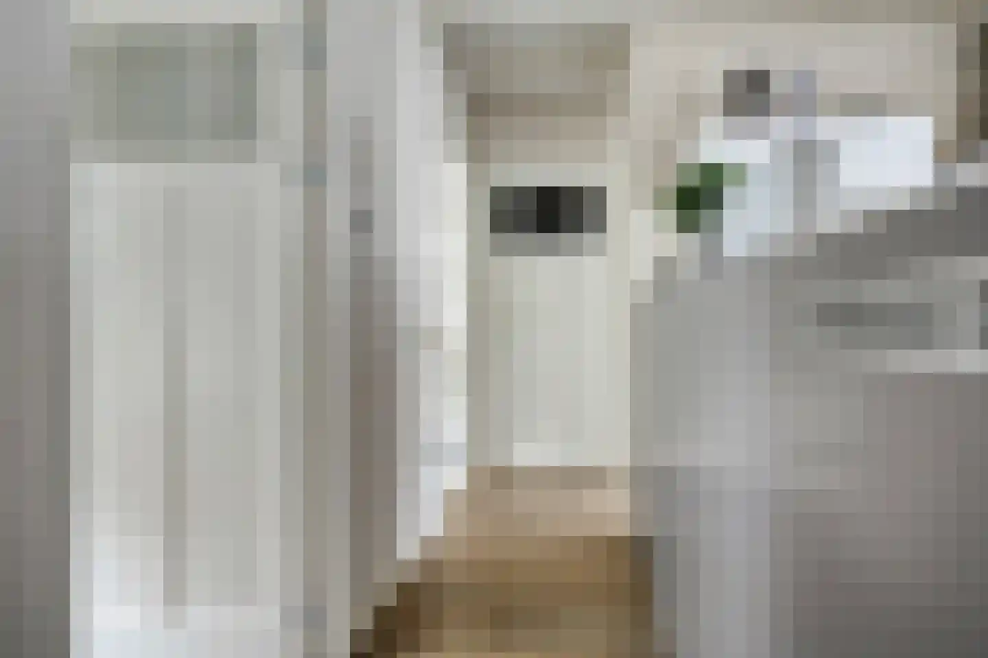 Balloo 13 Balloo thumbnail 52