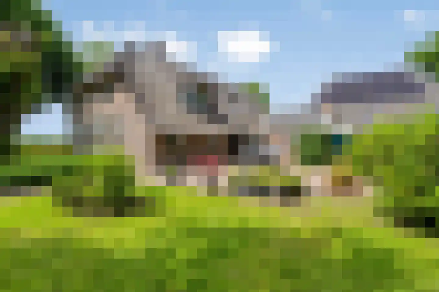 Balloo 13 Balloo thumbnail 6