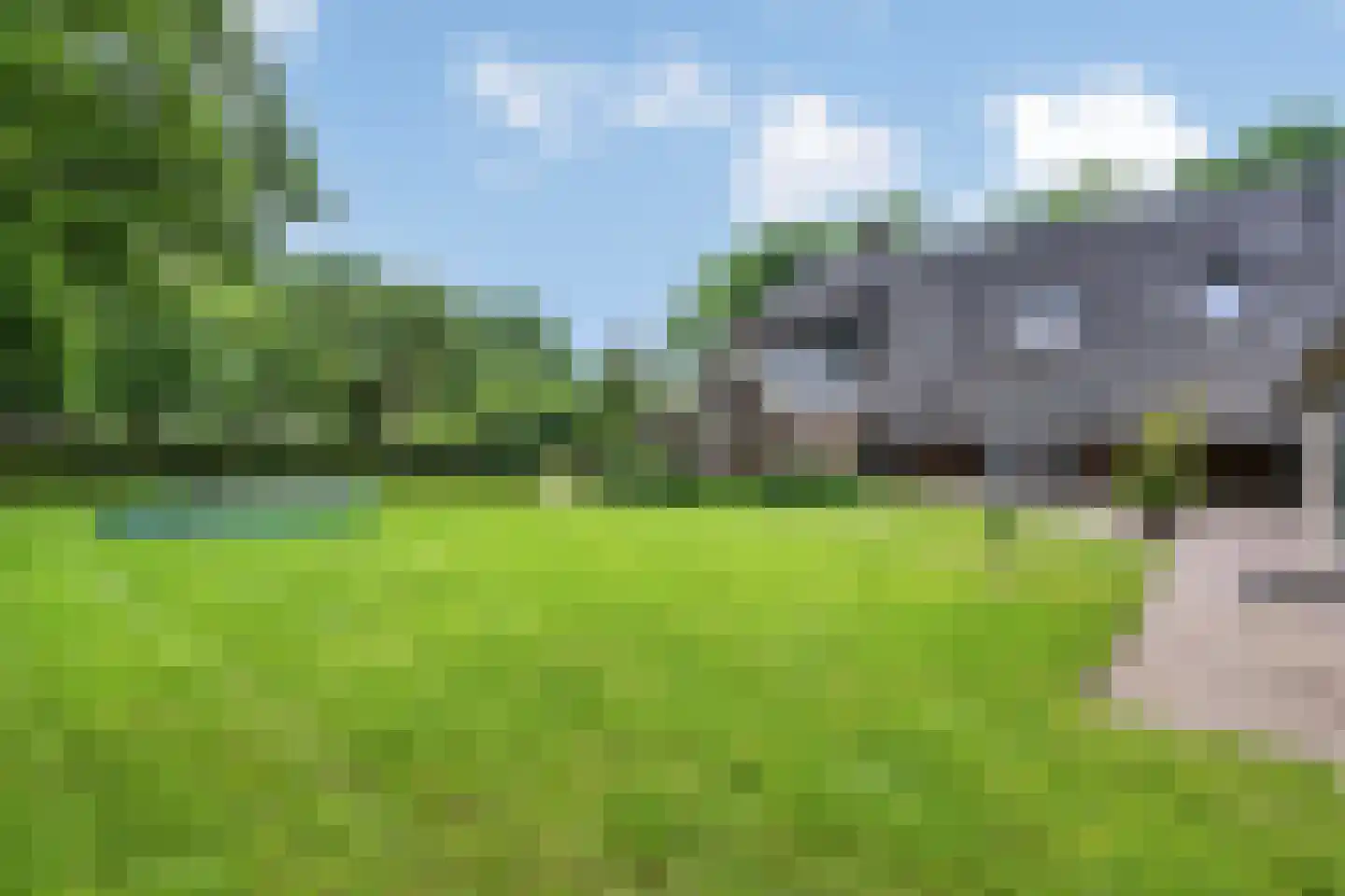 Balloo 13 Balloo thumbnail 61