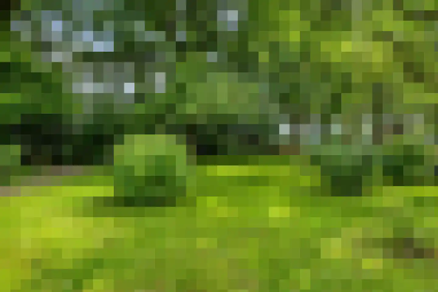 Balloo 13 Balloo thumbnail 64
