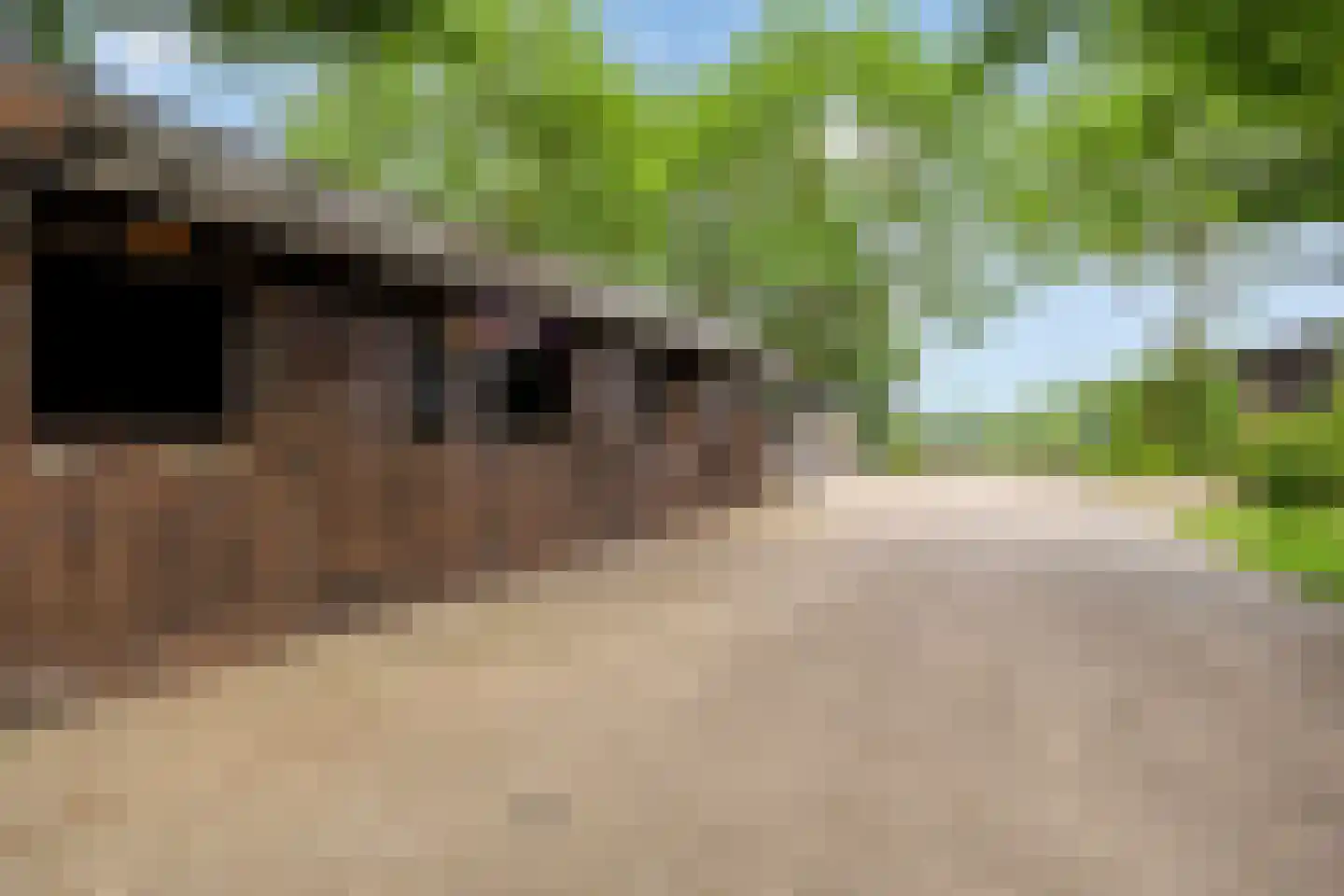 Balloo 13 Balloo thumbnail 70