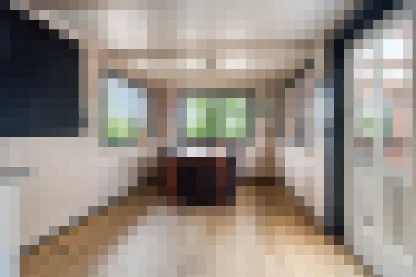 Balloo 13 Balloo thumbnail 74