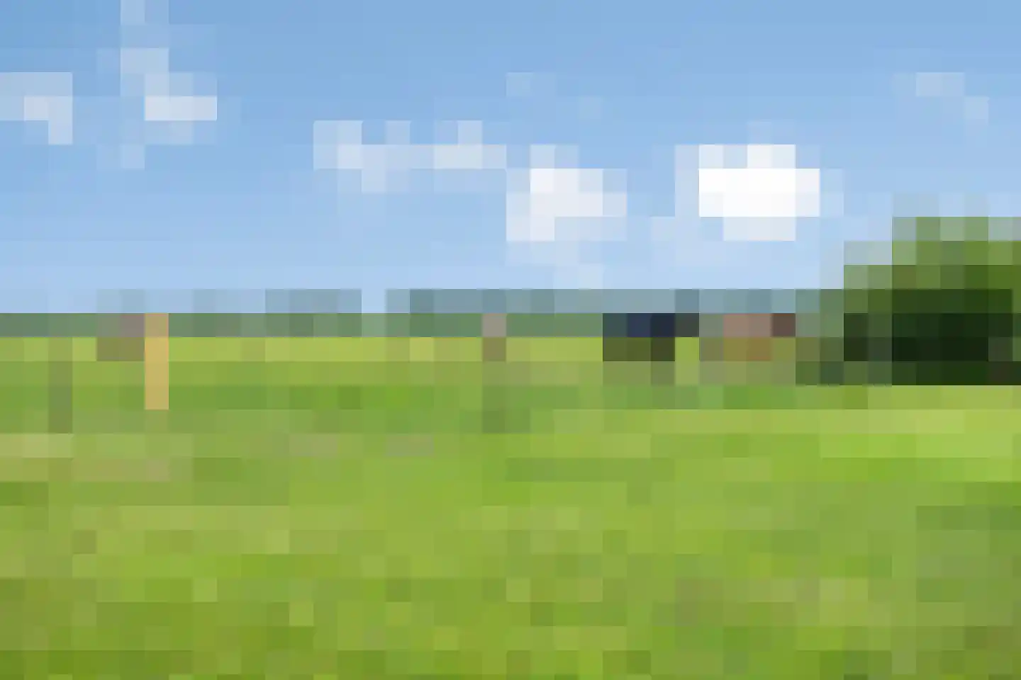 Balloo 13 Balloo thumbnail 85