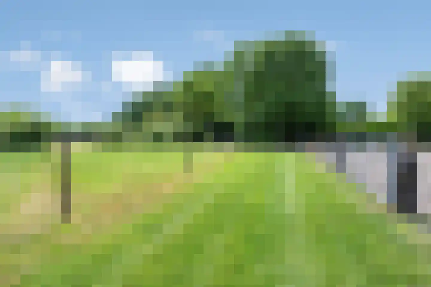Balloo 13 Balloo thumbnail 86