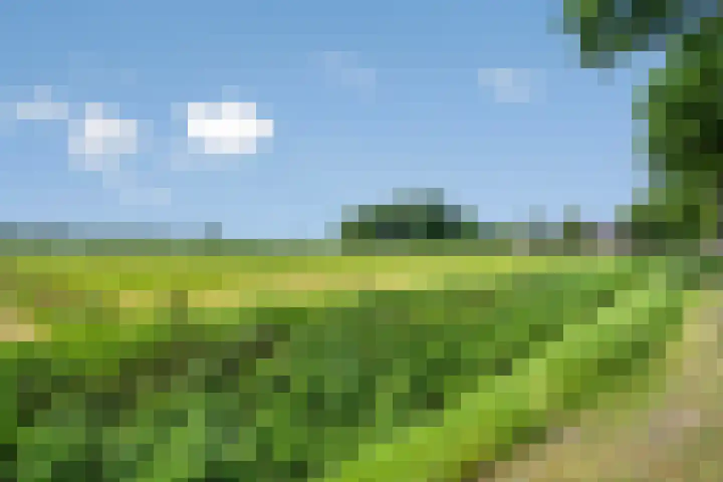 Balloo 13 Balloo thumbnail 88