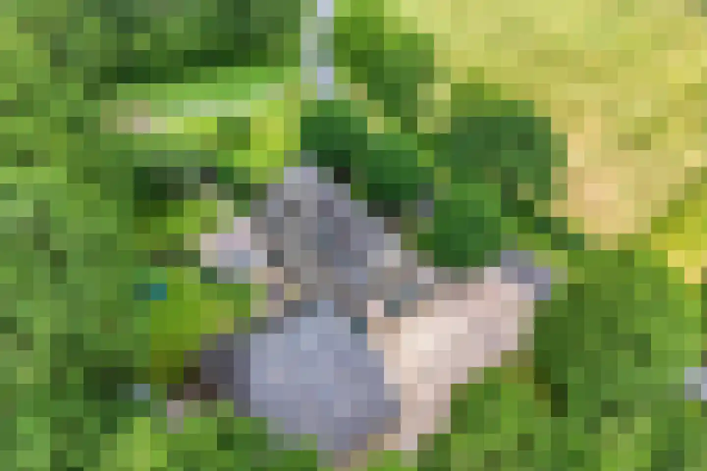 Balloo 13 Balloo thumbnail 89