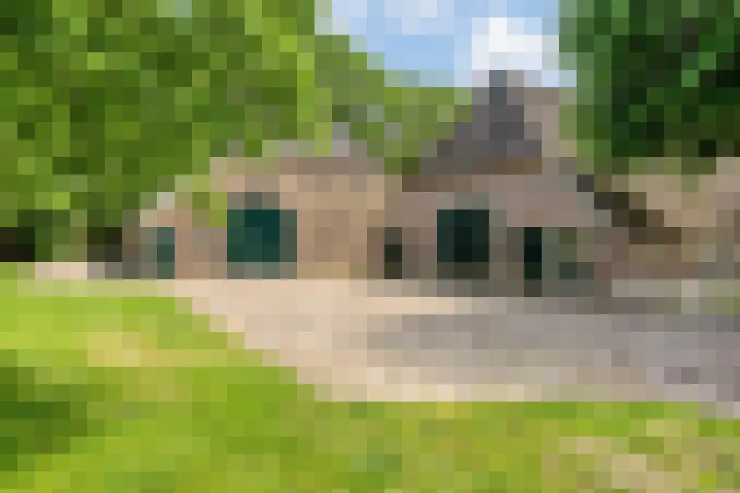 Balloo 13 Balloo thumbnail 9