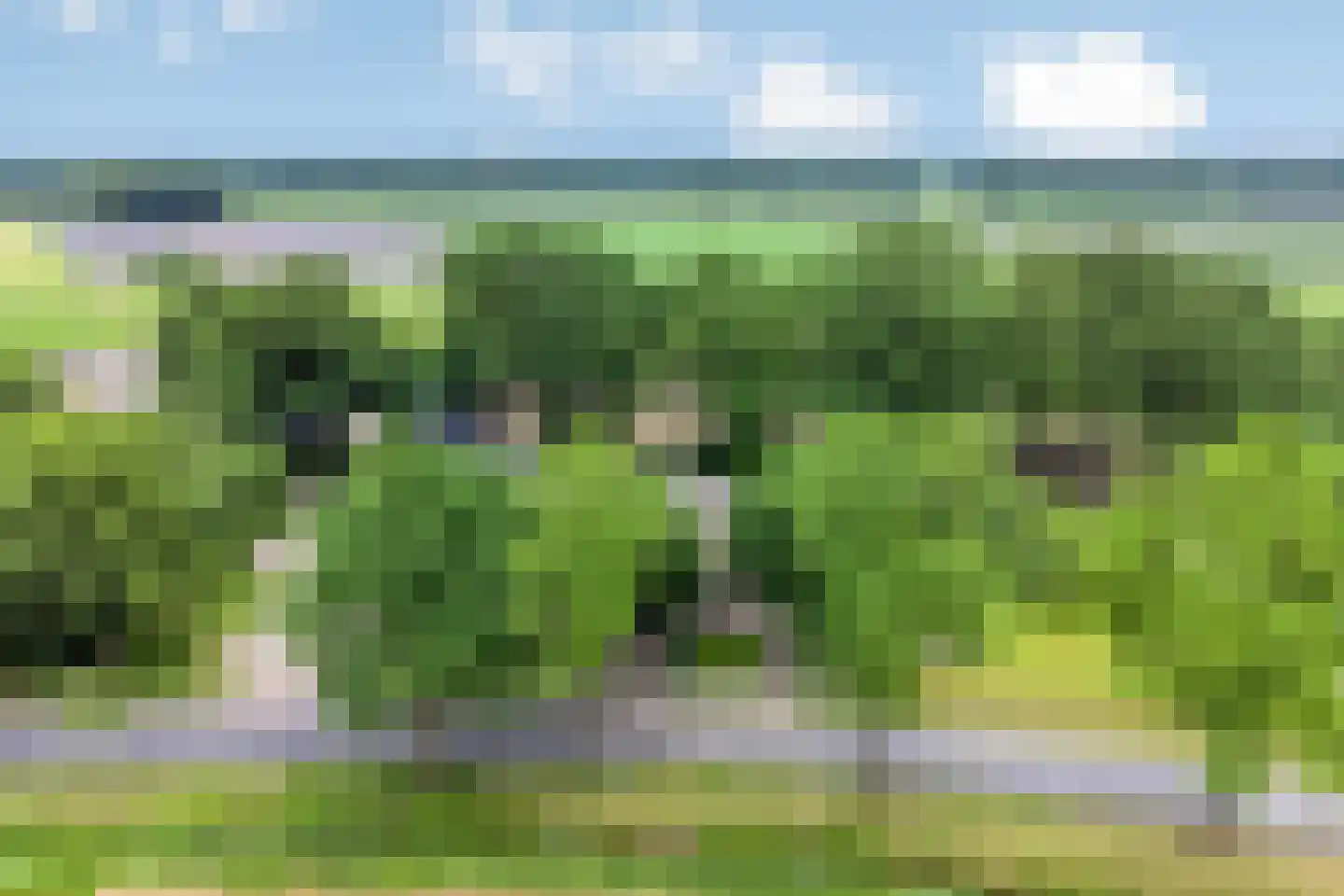 Balloo 13 Balloo thumbnail 90