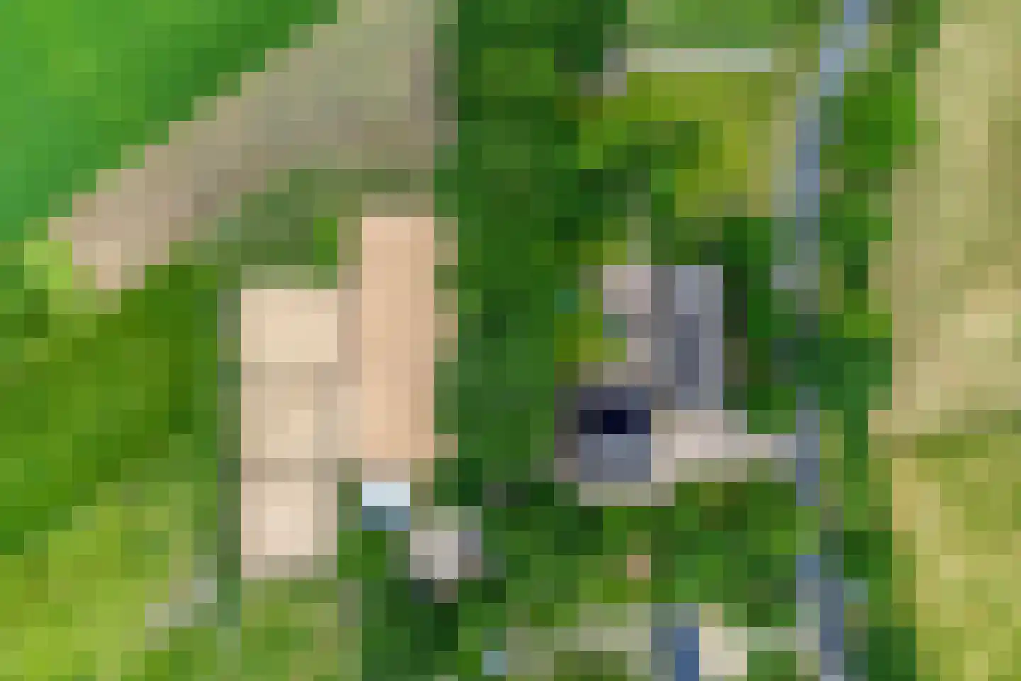 Balloo 13 Balloo thumbnail 91