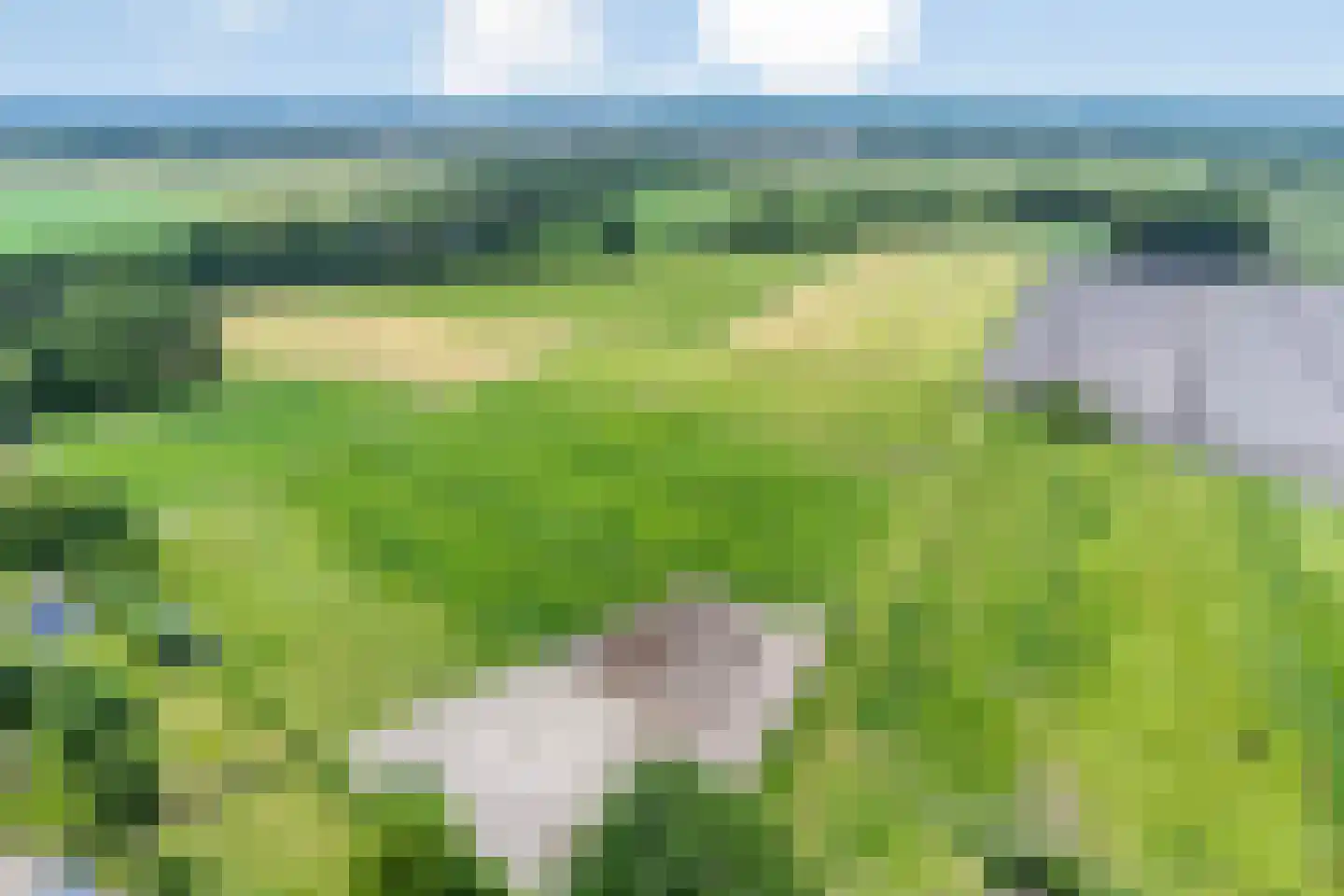 Balloo 13 Balloo thumbnail 94