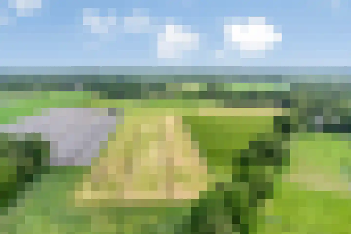 Balloo 13 Balloo thumbnail 98