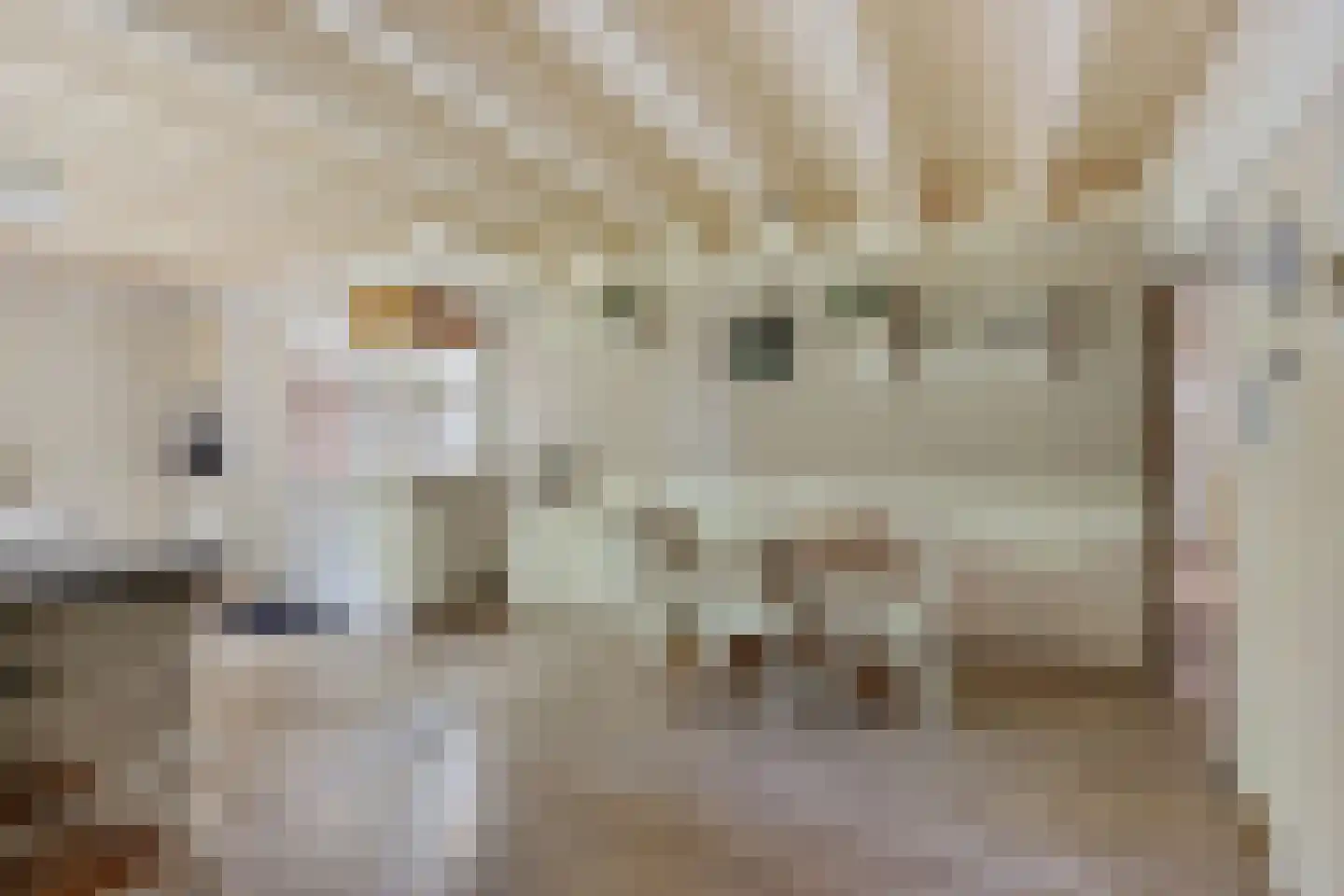 Balloo 75 Balloo thumbnail 10