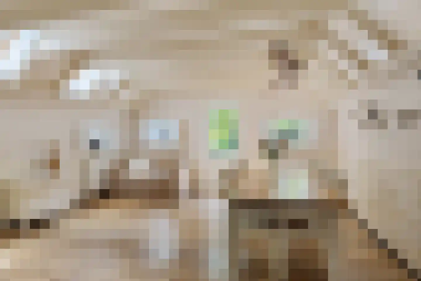 Balloo 75 Balloo thumbnail 13