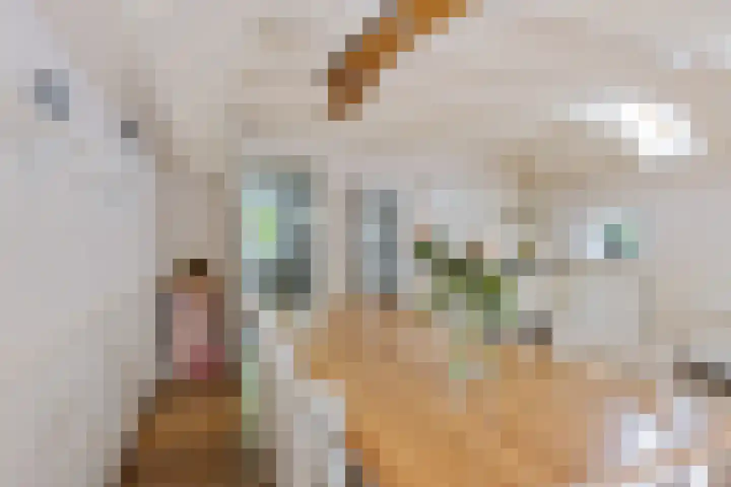 Balloo 75 Balloo thumbnail 14