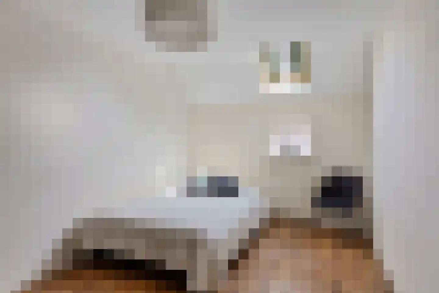 Balloo 75 Balloo thumbnail 22