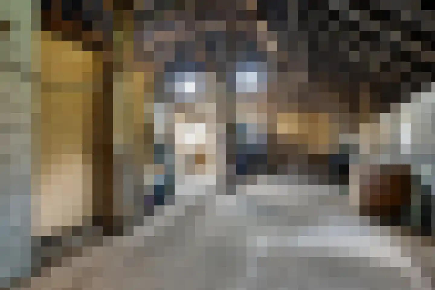 Balloo 75 Balloo thumbnail 23