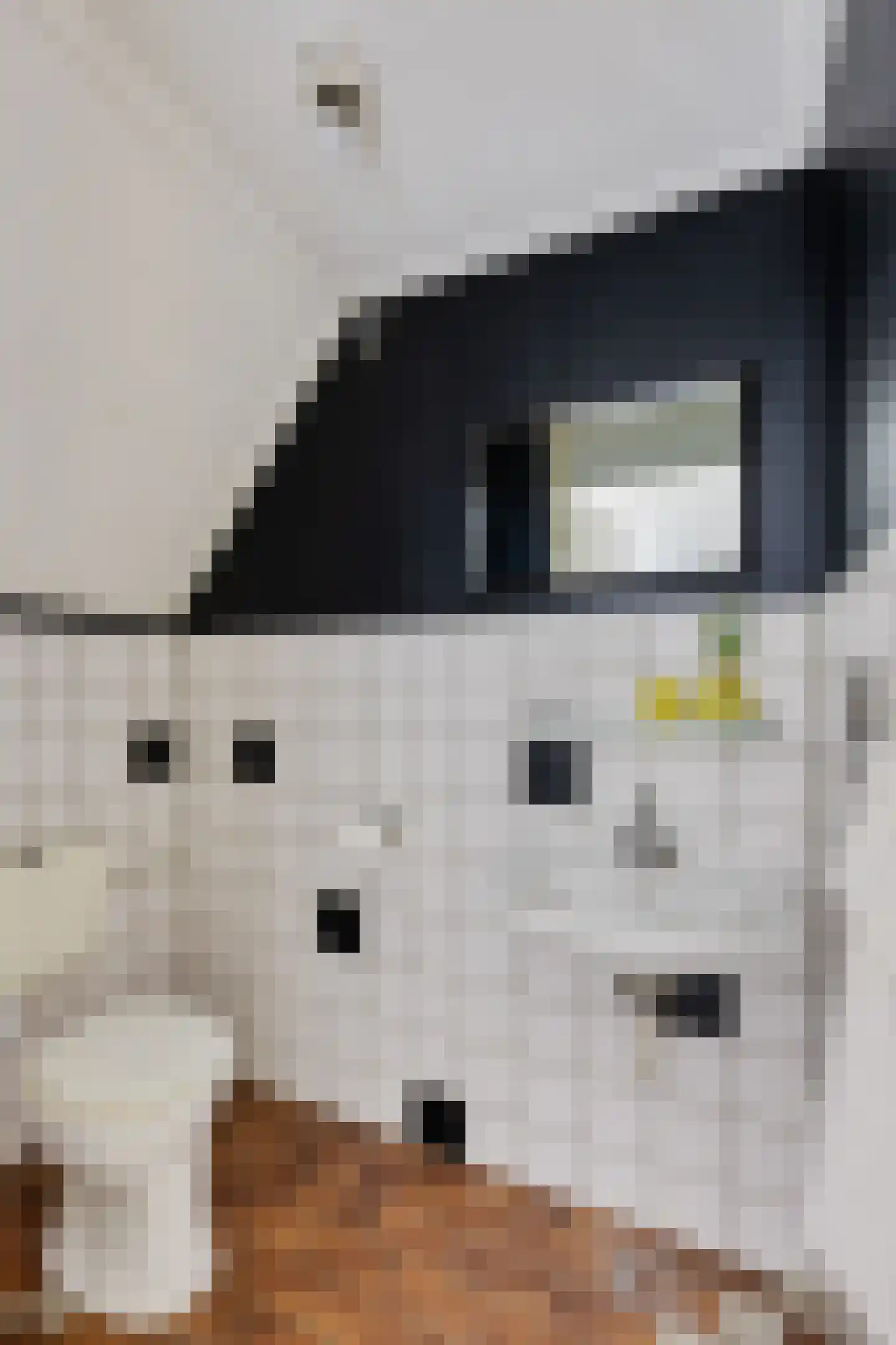 Balloo 75 Balloo thumbnail 25