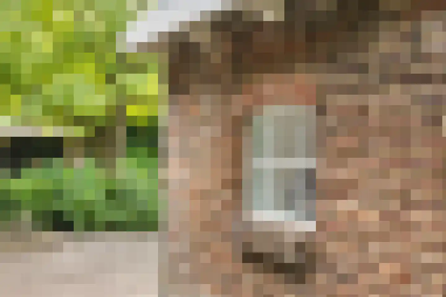 Balloo 75 Balloo thumbnail 32