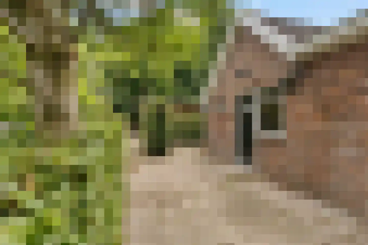 Balloo 75 Balloo thumbnail 33