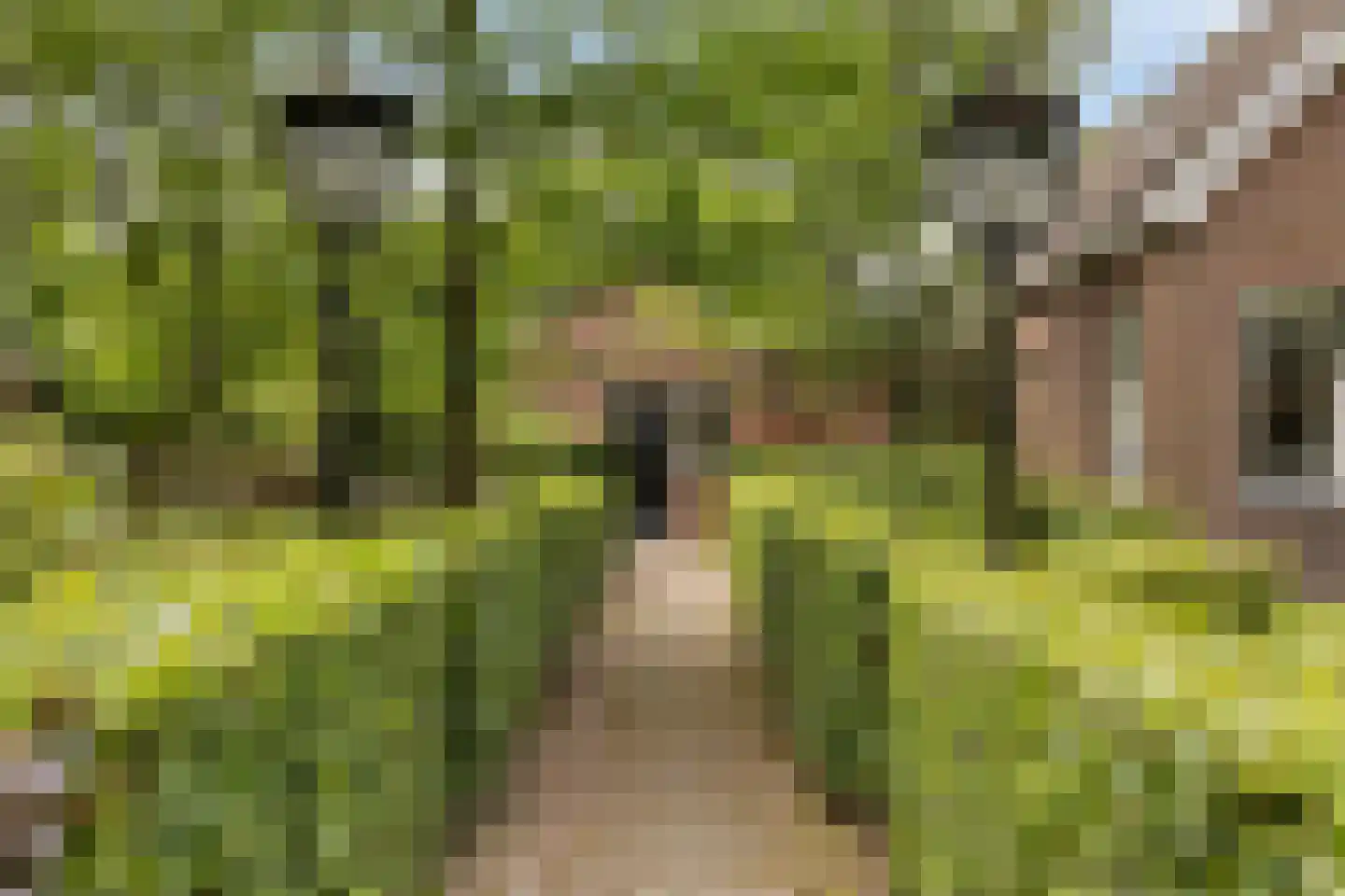 Balloo 75 Balloo thumbnail 34