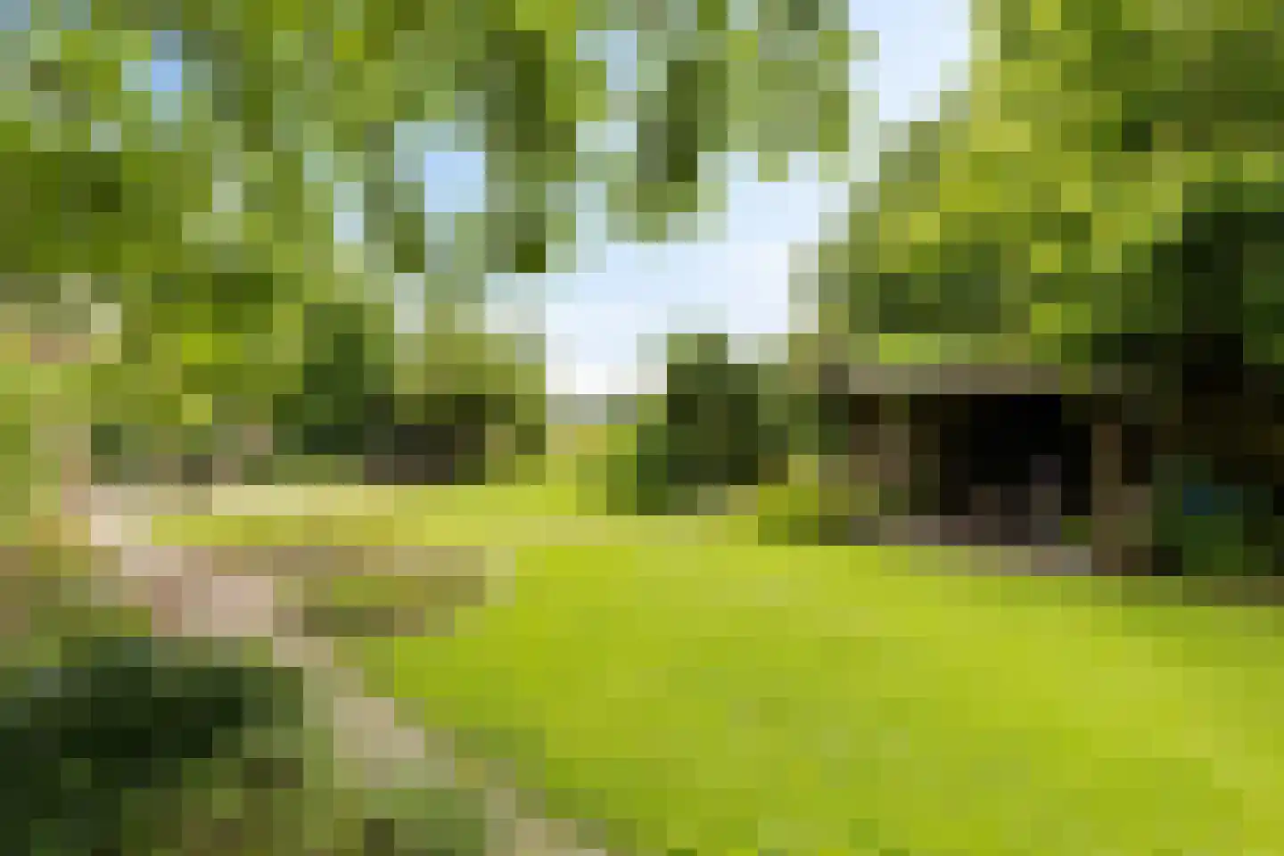 Balloo 75 Balloo thumbnail 37