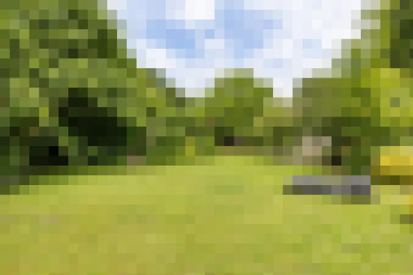 Balloo 75 Balloo thumbnail 39