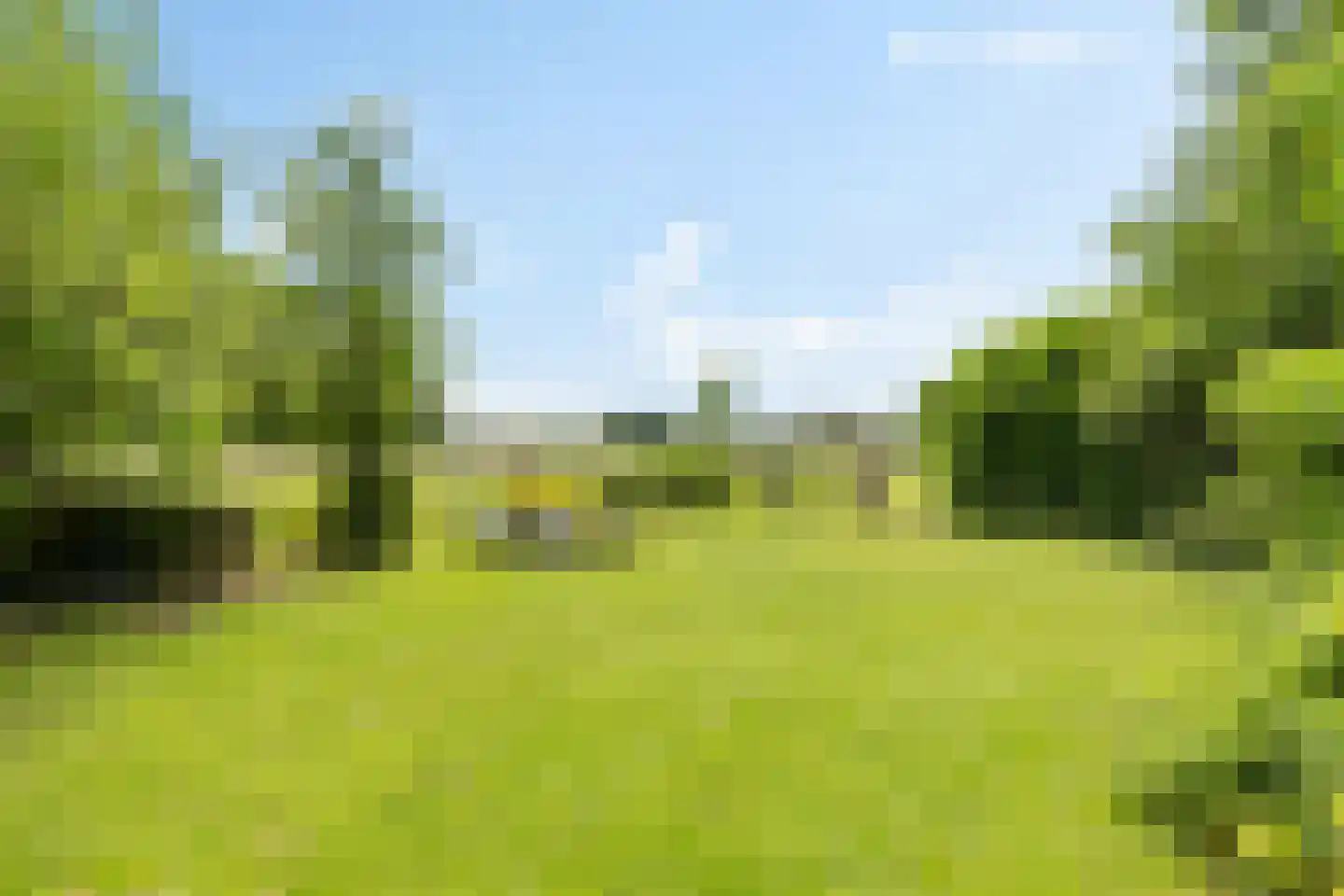 Balloo 75 Balloo thumbnail 4