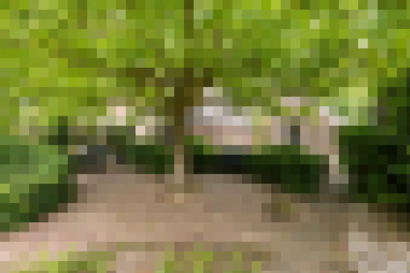 Balloo 75 Balloo thumbnail 40