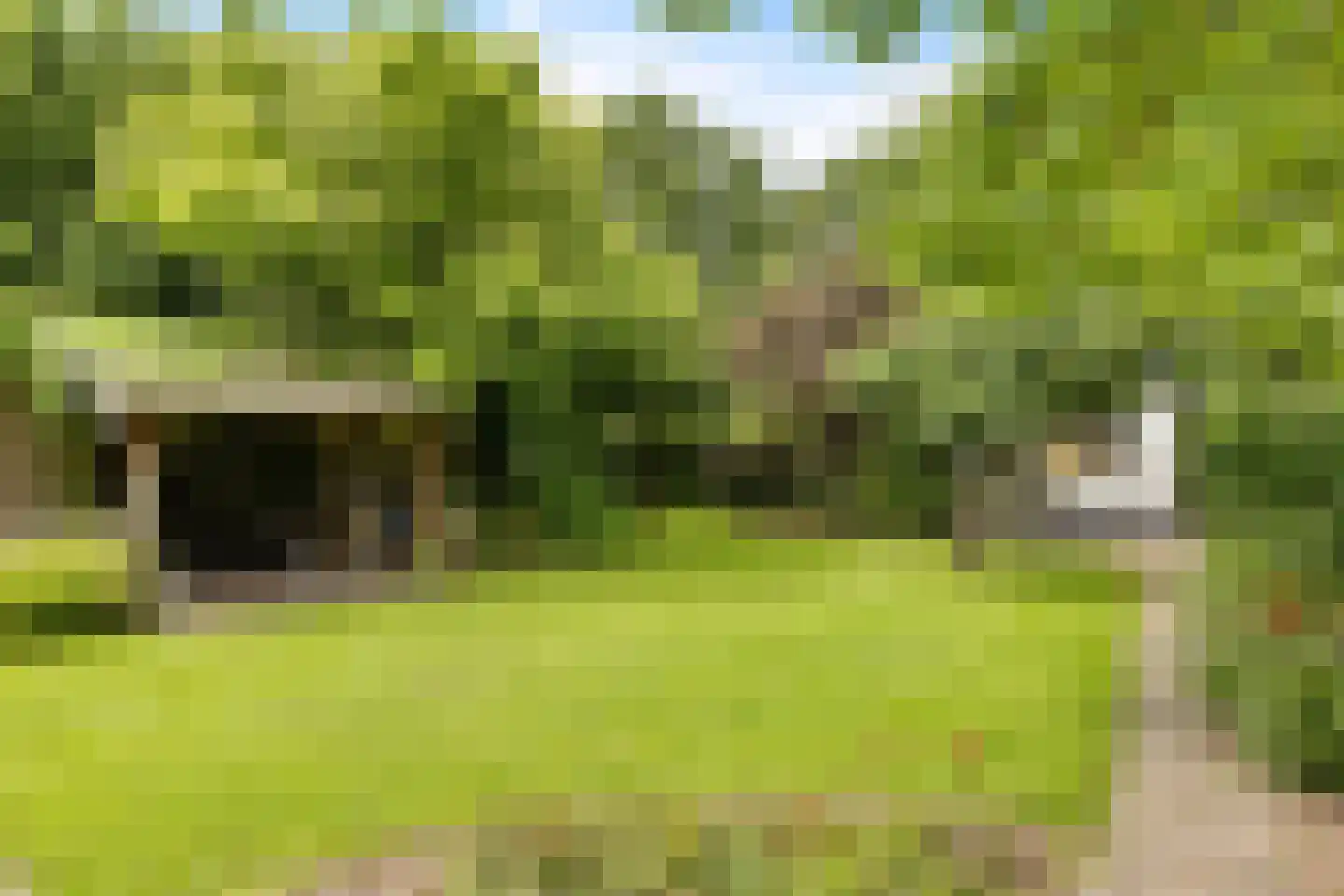 Balloo 75 Balloo thumbnail 41