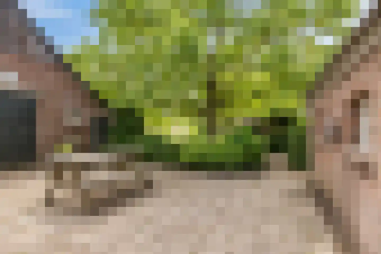 Balloo 75 Balloo thumbnail 43