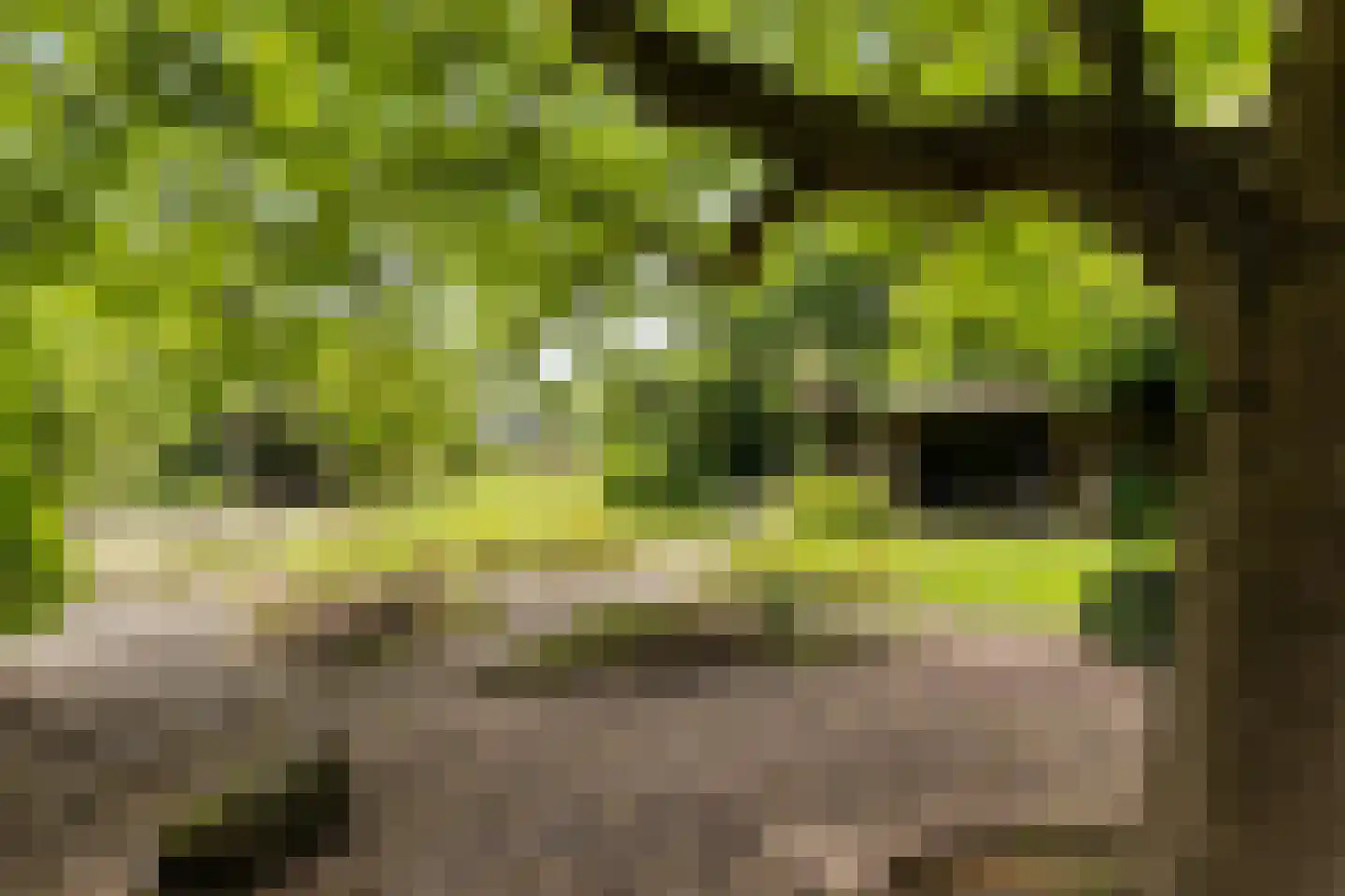 Balloo 75 Balloo thumbnail 44