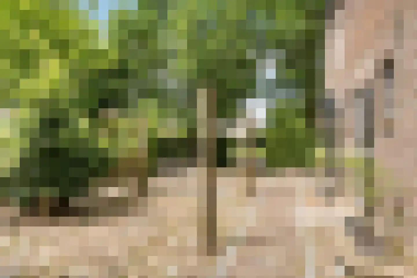 Balloo 75 Balloo thumbnail 45