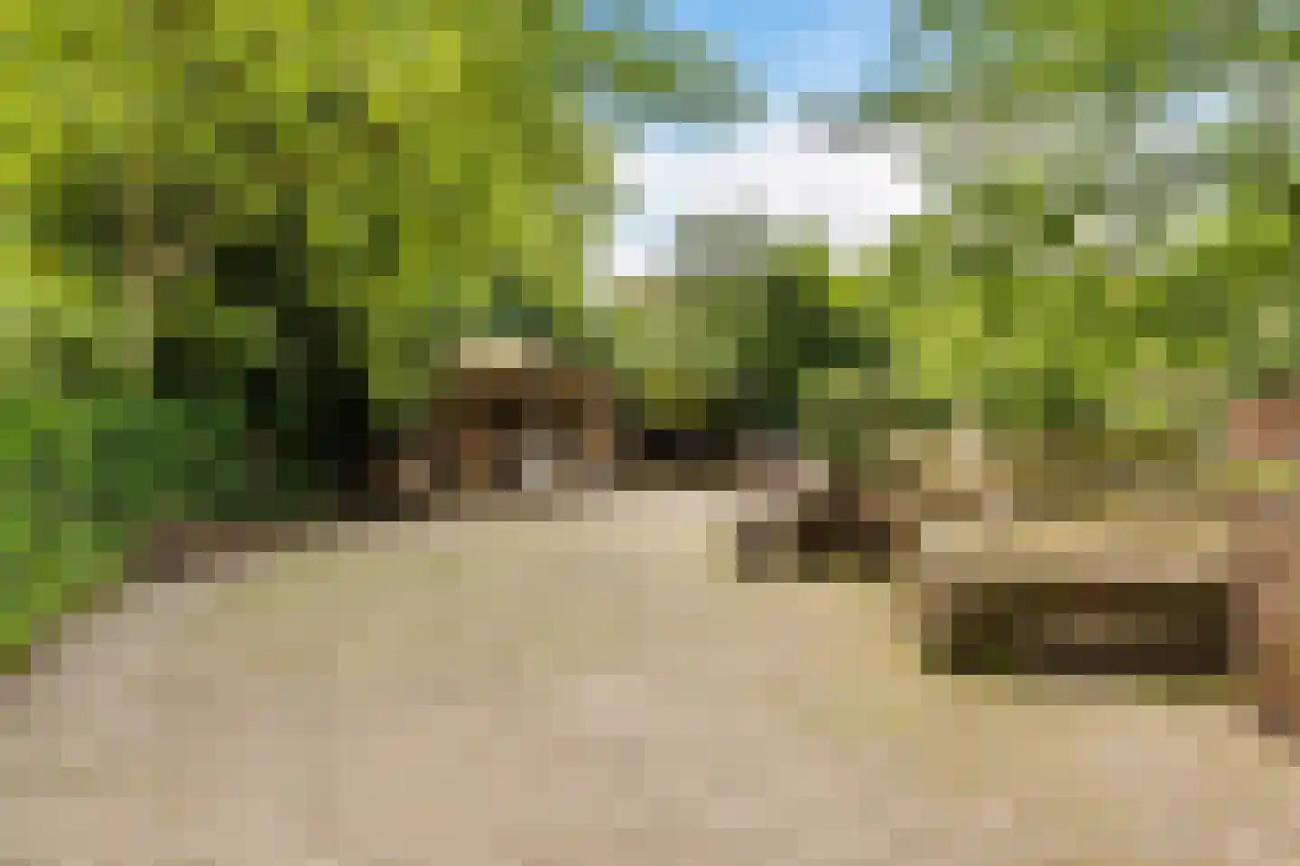 Balloo 75 Balloo thumbnail 46