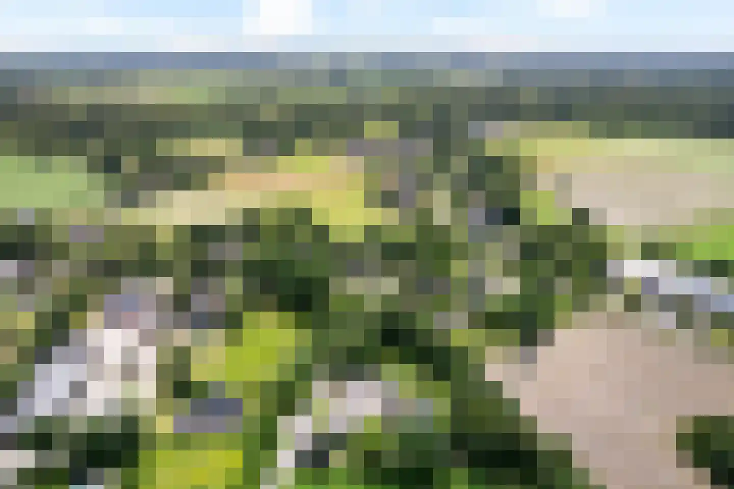 Balloo 75 Balloo thumbnail 47