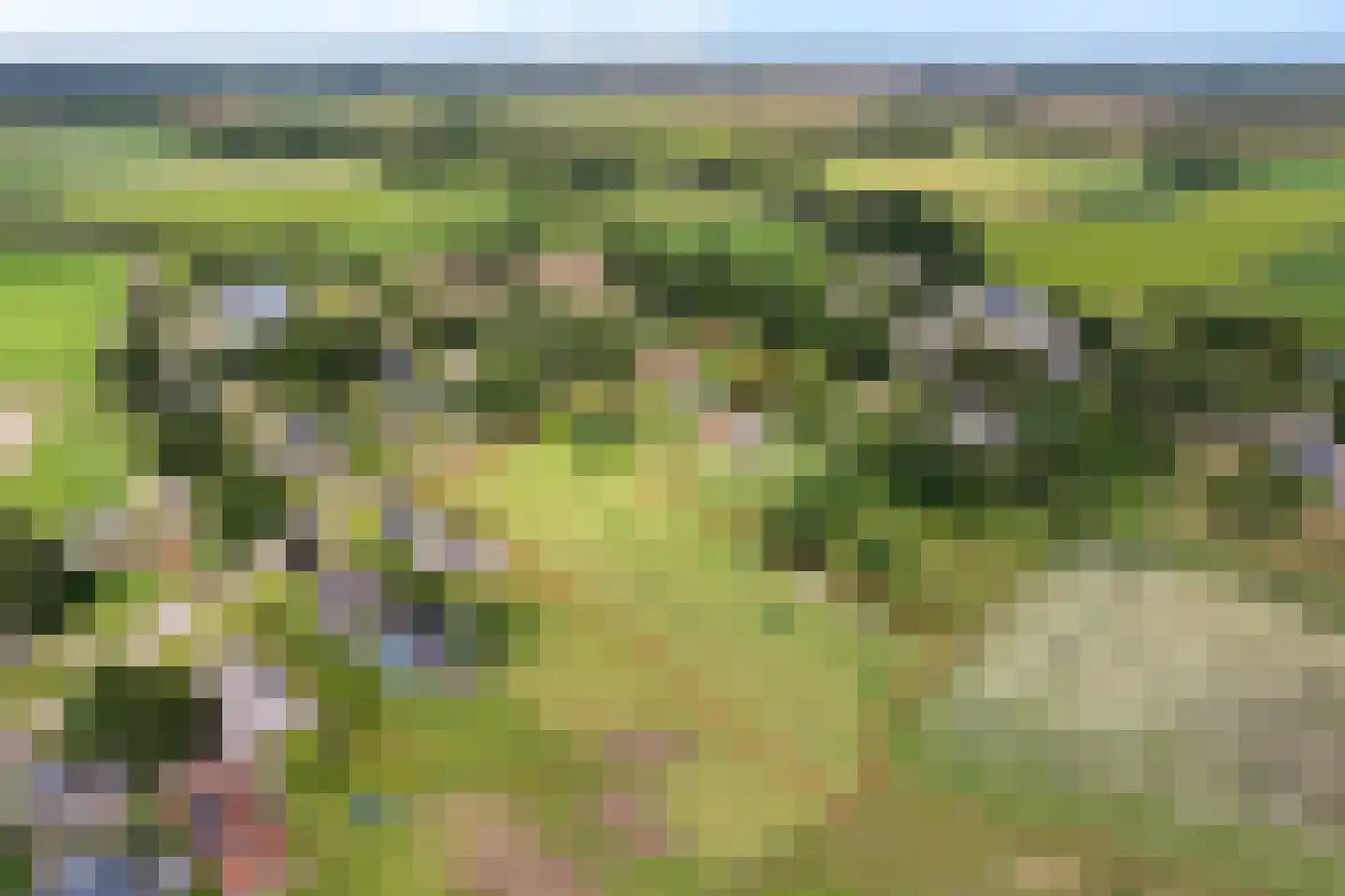 Balloo 75 Balloo thumbnail 48