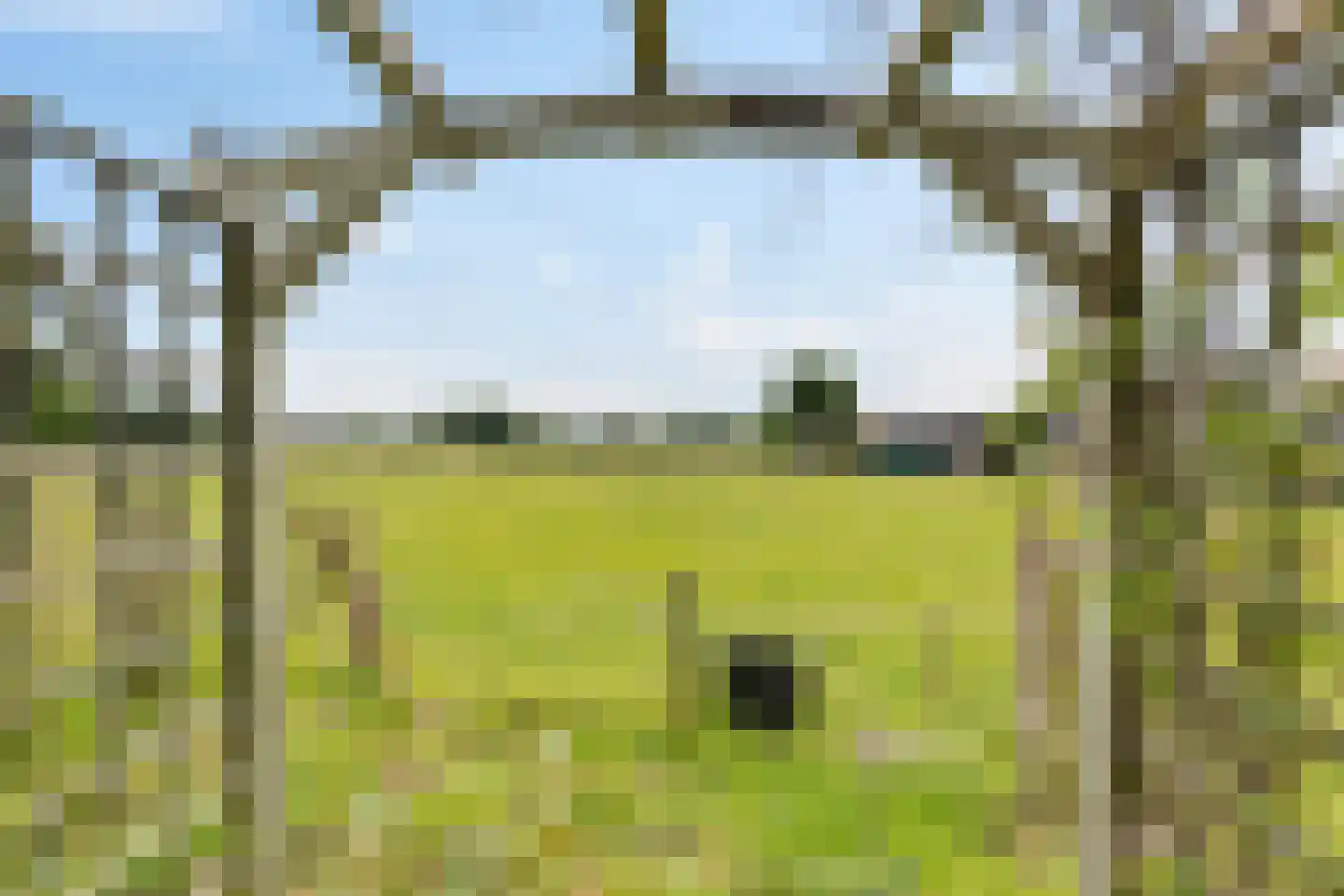 Balloo 75 Balloo thumbnail 5