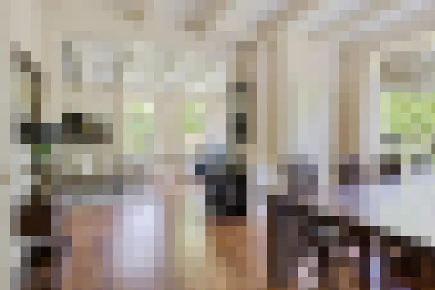 Balloo 75 Balloo thumbnail 9
