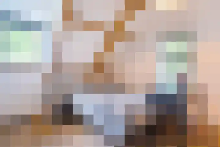 Balloo 90 Balloo thumbnail 36