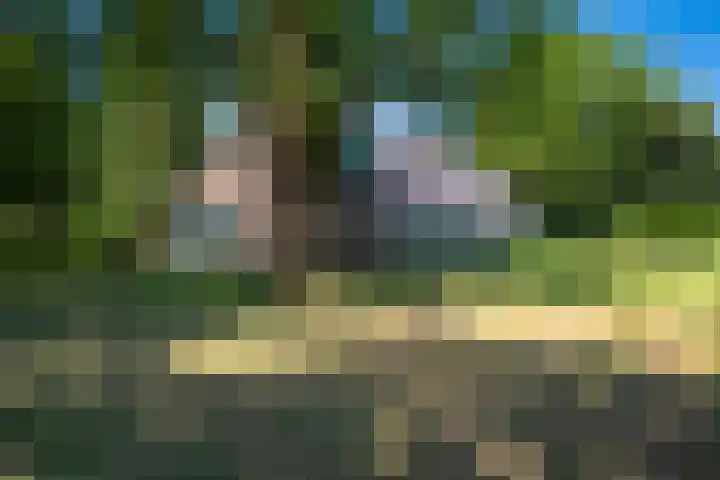 Balloo 90 Balloo thumbnail 54