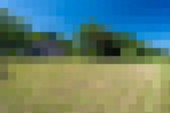 Balloo 90 Balloo thumbnail 57